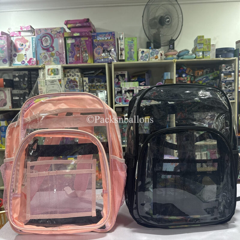 transparent backpack