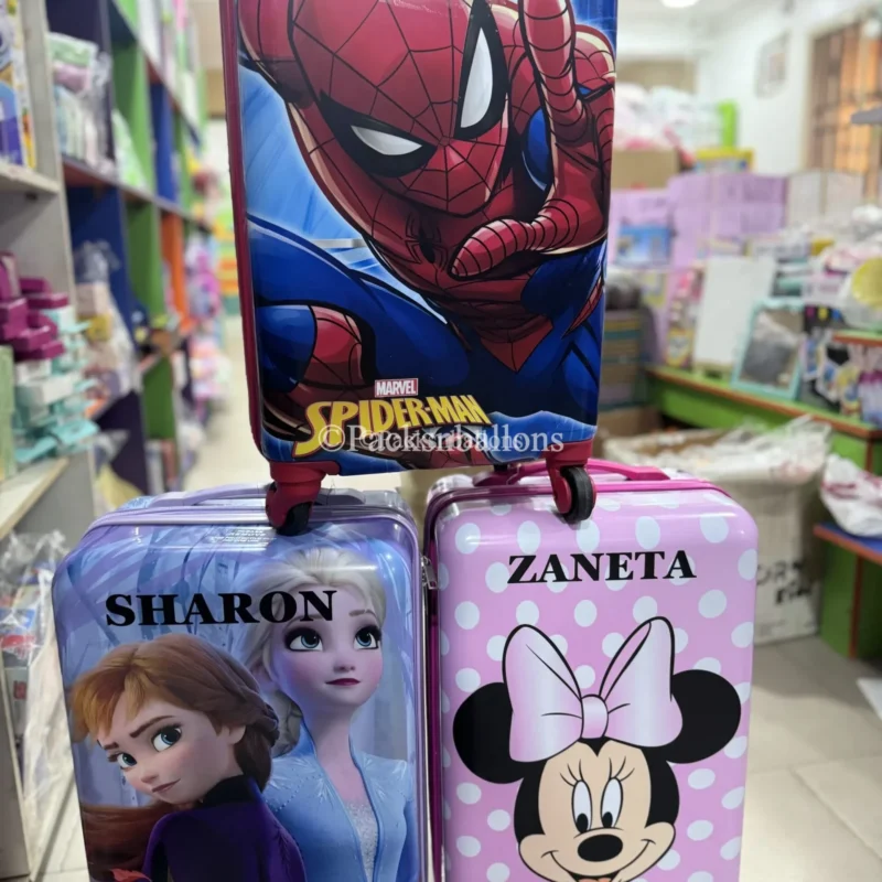 Character 20inch travel box
